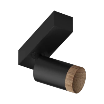 SAGITONY E S60 Wooden